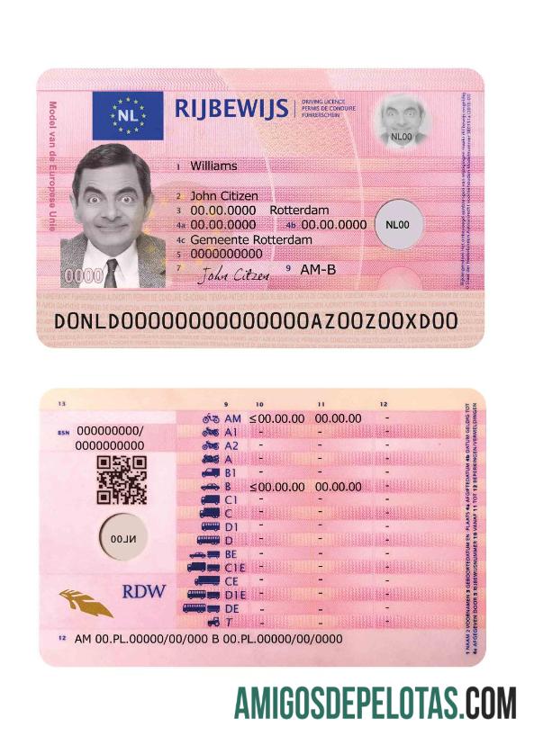 Carta de condução holandesa 2014 presente exemplo real